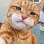 Vernie Hagenes Profile Picture